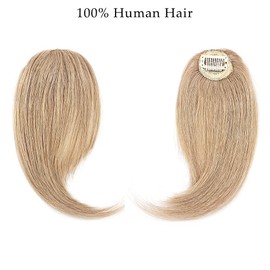 Benehair Side Bangs 100% Human Hair Curtain Bangs 10 inch Dark Blonde Remy Seamless French Bang Soft Thick Hair 15g with Invisible Clips for Women 10" #27