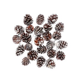 Mirrwin Pack of 30 Natural Pine Cones Christmas Pine Cones Decoration Pendant Large Decorative Wreath Pine Cones for Gift Tags Christmas Tree Party Hanging Decoration (White)