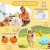 10 Pcs Squeaky Dog Toys,Soft Plush Pet Toy Set Dog