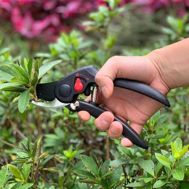 Centurion 441 Professional Bypass Pruning Shears Small and Large Grip