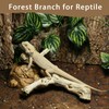 BNOSDM Reptile Branches, 9.5-11.4inch Snake Climbing Branch, Terrarium Wood Branch