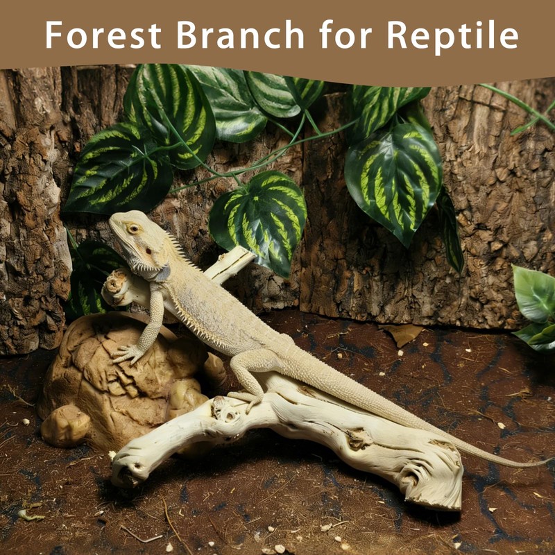 BNOSDM Reptile Branches, 9.5-11.4inch Snake Climbing Branch, Terrarium Wood Branch