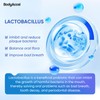 BodyAccel Oral Spray Portable Breath Freshener for Long-Lasting Freshness