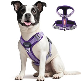 Tacwild No Pull Dog Harness - Adjustable Reflective Dog Vest with Metal Snap, Soft Breathable Mesh No Choke Puppy Harness, Easy to Put on & Take Off (Purple-L)