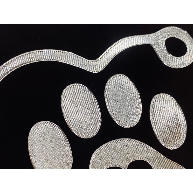 Engraved Veterinarian Dog Paw Car Tag Diamond Etched Vanity Front