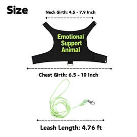 Bearded Dragon Harness and Leash Set - Adjustable Lizard Traction Rope Outdoor Walking Training Leash Reptile Emotional Support Animal Costume Accessories for Bearded Dragon Lizard Small Pets (Green)