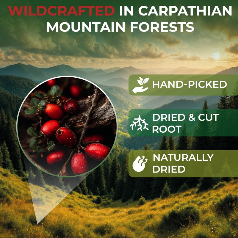 2 oz. Barberry Root Herbal Tea (Berberis vulgaris) – 56g