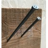 6"- Steel Square Common Rose Head STANDARD-60d - Large Spike