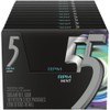 5 Gum RPM Mint Sugarfree Gum, 15 Count (Pack of