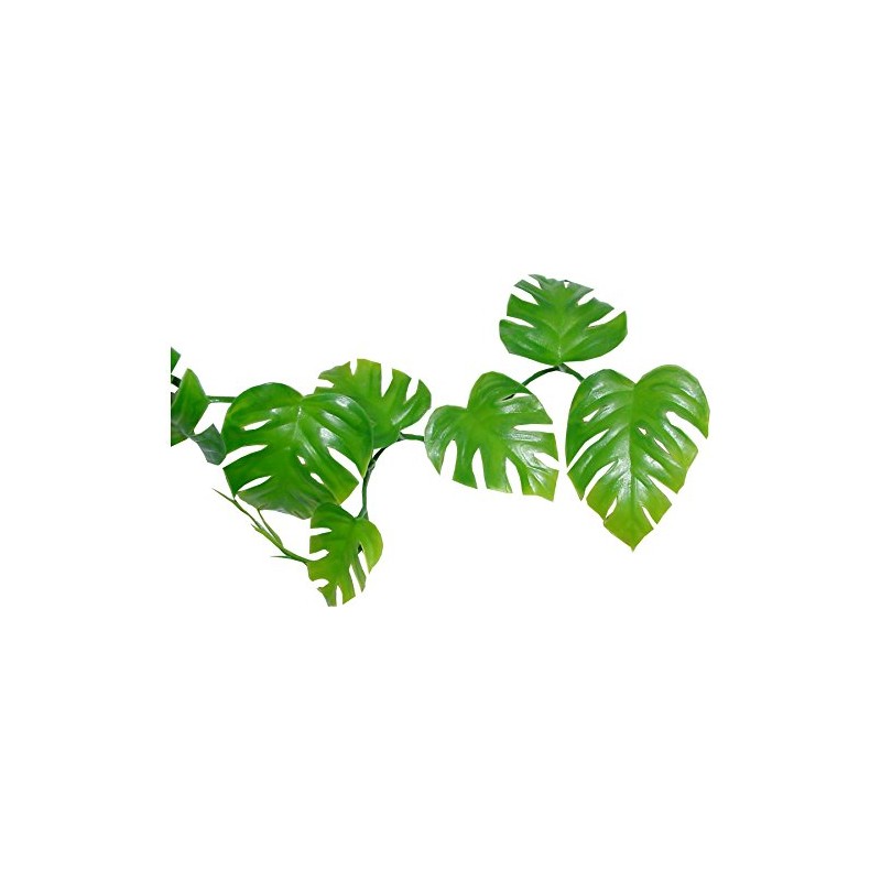 Lucky Reptile LP-70 Pothos Vine