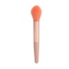 5pcs Makeup Brush Cleaning Solution Bowl Kit Residue Removal Powder