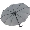 iX-brella Men's Pocket Umbrella Open-Close Automatic Round Hook Handle, Carbon