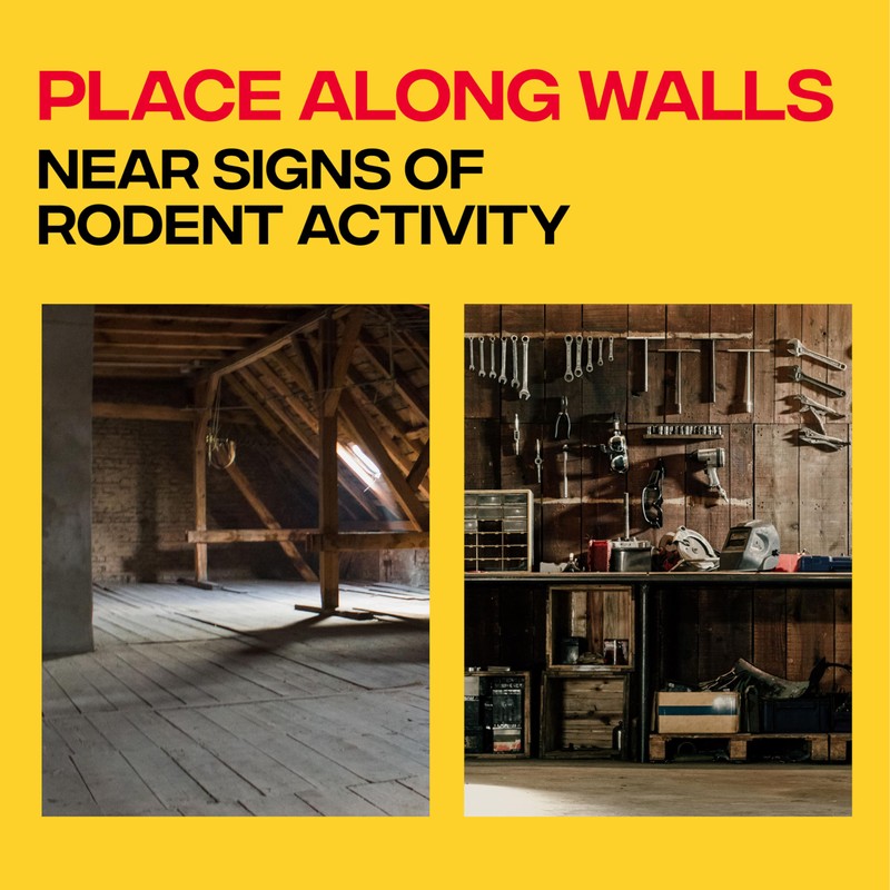 Victor Metal Pedal Sustainably Sourced FSC Wood Snap Mouse Trap