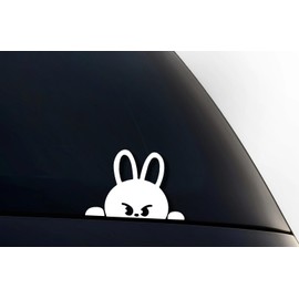Generic Stayz SKZ Bunny 6"" X 4"" Decal Sticker, Waterproof, 6 Year Durability for Car Window, Laptop, Desk, Walls, Luggage and More! (White), LEEBIT01