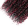 Luxvogue 18 20 22 inch Burgundy P1B/99J Jerry Curly Human