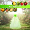GWHOLE 50pcs 6x8 Inch Fruit Protection Bags, Fruit Cover Mesh