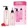 A’PIEU Raspberry Vinegar Hair Care Set – Shampoo (16.9 fl