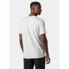 Helly-Hansen HH LIFA Active Solen T-Shirt - Men's Lightweight, Breathable