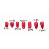 [Aini Nail Tip Sample Tip] Sample tip for measuring size