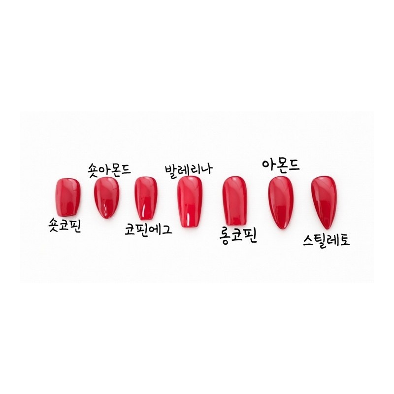 [Aini Nail Tip Sample Tip] Sample tip for measuring size