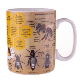 Könitz Wissensbecher Bees [EN]