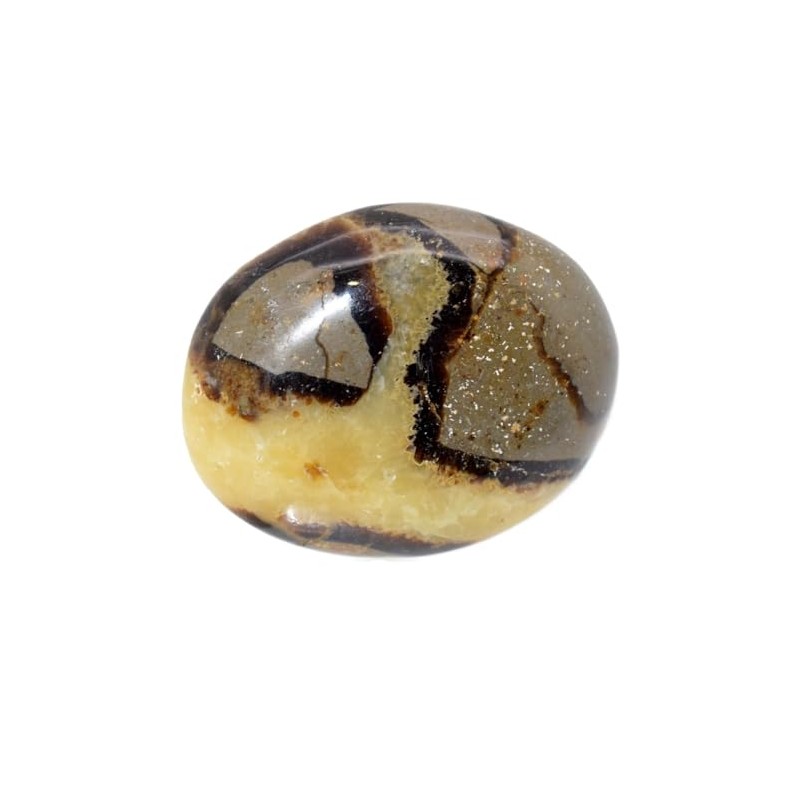 Septaria Stone 4 to 6 cm Natural Lithotherapy Collection Minerals