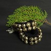 Dancing Bells Anklet Ghungroo with Colored Cushion Pad 2 Line