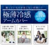 Carelance Ultra Thin Cool Arm Cover, Bare Skin Feeling, Cool