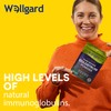 Wellgard Wellgard Pure Colostrum Powder, High Levels of Immunoglobulin G
