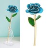 24k Gold Dipped Real Blue Rose 11-12 Inches Long with
