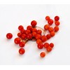 20+ Worlds Smallest Spoon Currant Tomato Seeds, Early, Heirloom Non-GMO,