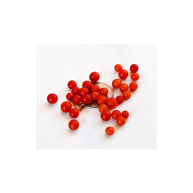 20+ Worlds Smallest Spoon Currant Tomato Seeds, Early, Heirloom Non-GMO,