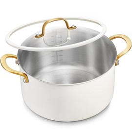 BEZIA BEZIA 10 Quart Large Stainless Steel Stock Pot, Tri-Ply Stainless Steel Stockpot, Visible Lid with Silicone Edging, Sturdy & Double Handle, Induction Cooking Pot for Pasta, Soup, Spaghetti