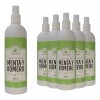 Productos Mart Mexico Tónico Facial De Romero Con Menta (500ml)