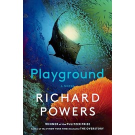 Playground: A Novel