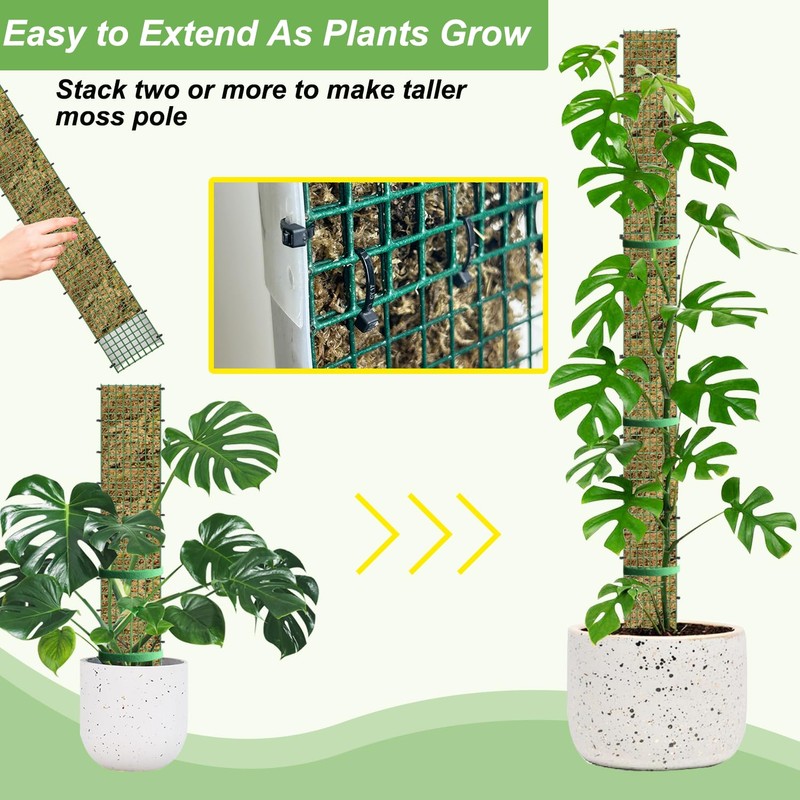 HOLANHING 60"/40"/24" Metal Moss Pole, D Shape Sphagnum Moss Pole,