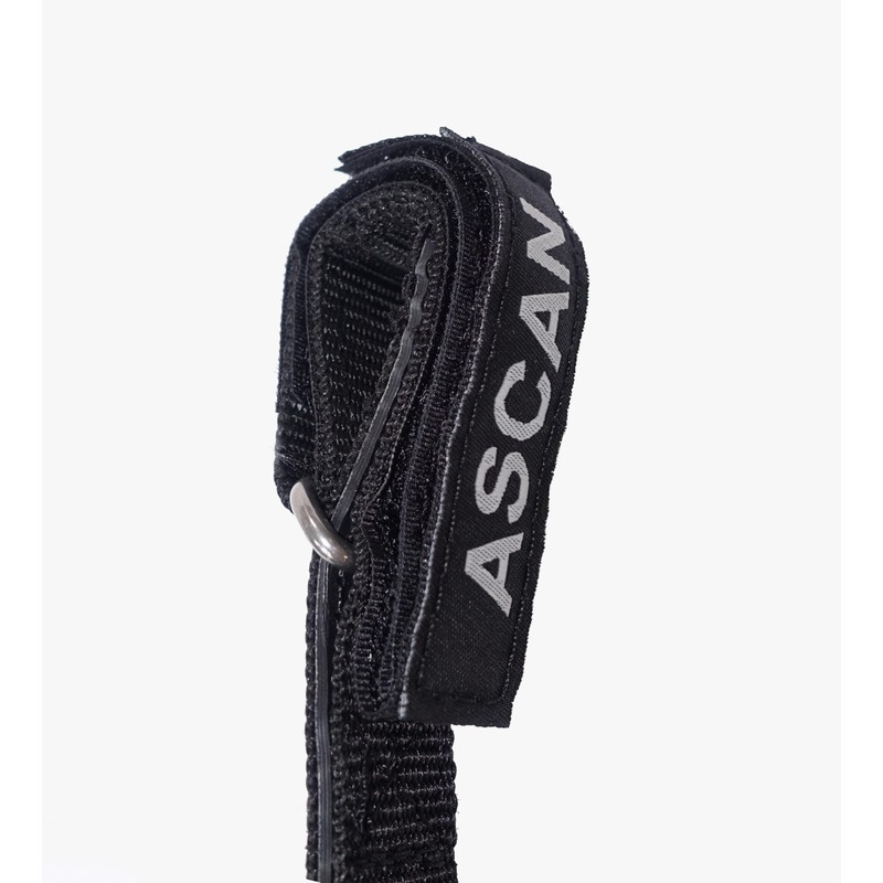 Ascan Wing Harness Line Vario