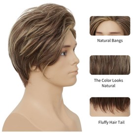 Salaibs Men's Grey Short Wig Silver Grey Middle Part with Layers Hair Wig Natural Synthetic Daily Cosplay Costume Party Wig