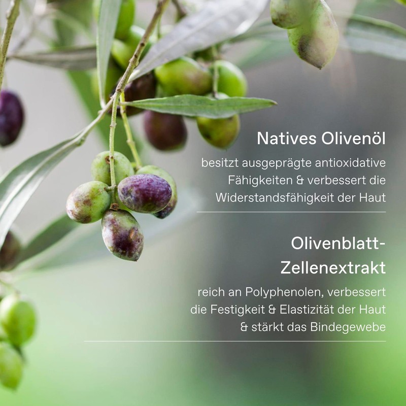 KORRES Olive & Olive Blossom feuchtigkeitsspendendes Duschgel für geschmeidige Haut,