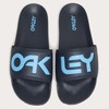 Oakley Men's Sandal, Blue, Numeric_10