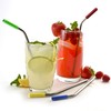 Norpro Stainless Steel Silicone Tipped Drinking Straws with 2 Cleaning