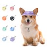 BT Bear Cute Dog Hats Cotton Casual Visor Bucket Hats