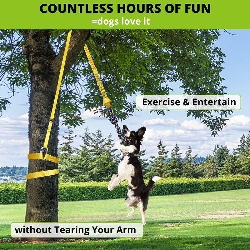 Dog Hanging Bungee Tug Toy: Interactive Tether Tug-of-War for Pitbull