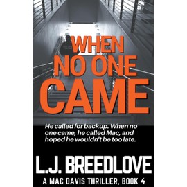 When No One Came (A Mac Davis Thriller, Band 4)