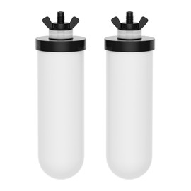 JOYPUR PF-4 Ceramic Purification Elements, Replacement Filters for ProOne® and Berkey® Filters, ProOne® Big+ or Berkey® Big Countertop Gravity Water Filter System and Purewell System (2 Pack)