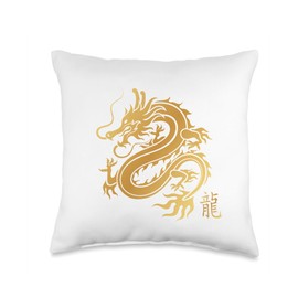 2024 Chinese New Year of Dragon Martial Arts Shirt Chinese New Year of Dragon Kung Fu Themed Throw Pillow, 16x16, Multicolor