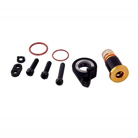 SRAM XX1 EAGLE REAR DERAILLEUR B-BOLT AND LIMIT SCREW KIT GOLD: GOLD