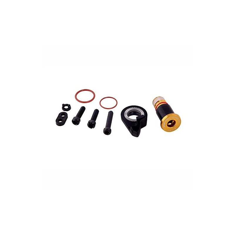 SRAM XX1 EAGLE REAR DERAILLEUR B-BOLT AND LIMIT SCREW KIT