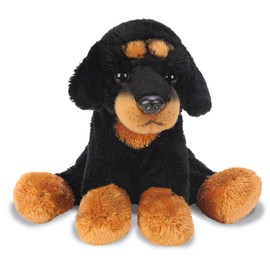 Yomiko Rottweiler (Small)