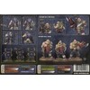 Warhammer 40k - Astra Militarum Bullgryns